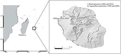 Molecular Investigation of Recurrent Streptococcus iniae Epizootics Affecting Coral Reef Fish on an Oceanic Island Suggests at Least Two Distinct Emergence Events